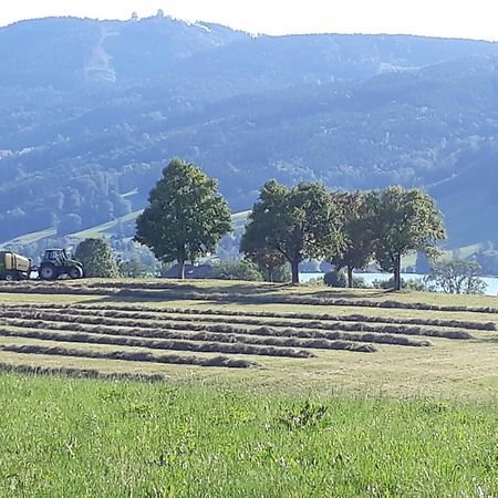 Apartamento Hideaway Zell am Moos Exterior foto