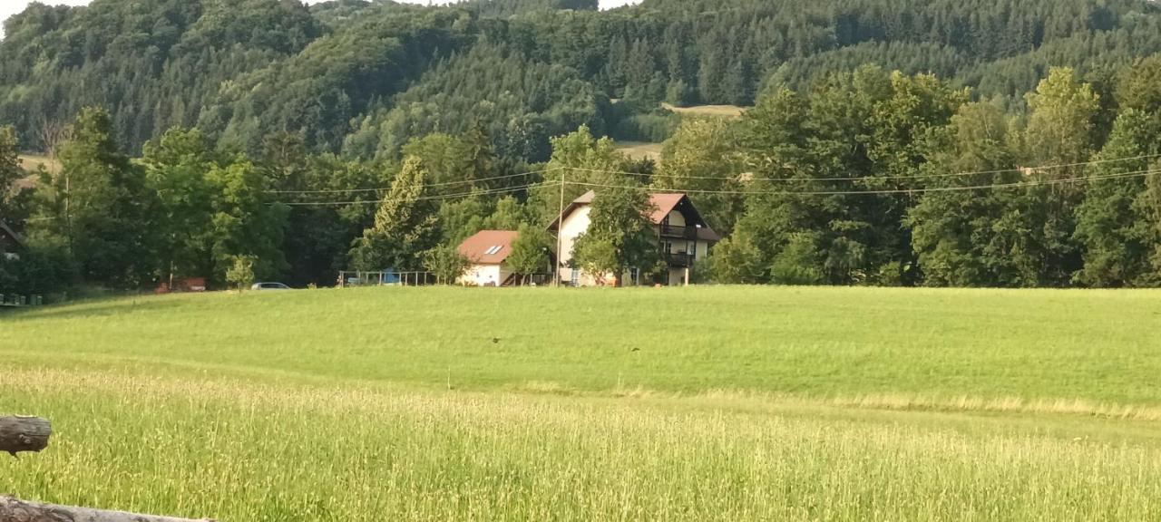 Apartamento Hideaway Zell am Moos Exterior foto